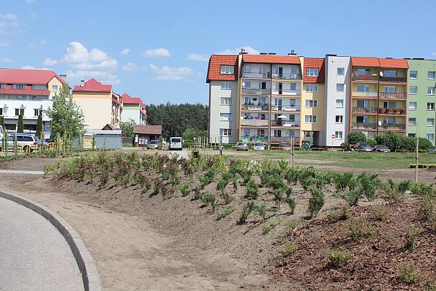 Zielono na Osiedlu Sportowa