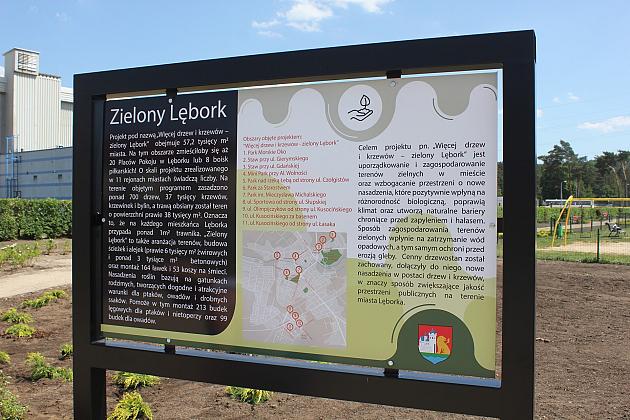 Zielono na Osiedlu Sportowa