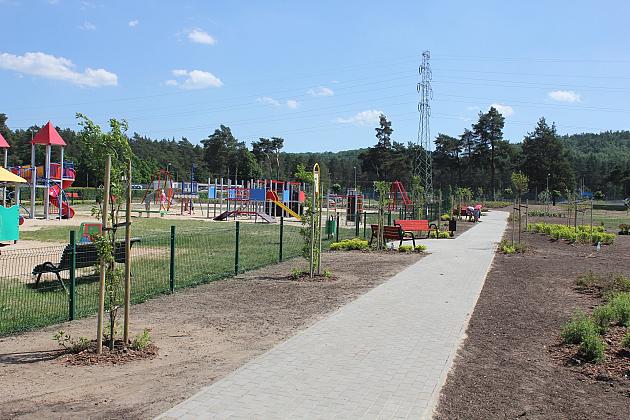 Zielono na Osiedlu Sportowa