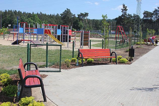 Zielono na Osiedlu Sportowa