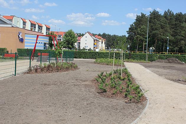 Zielono na Osiedlu Sportowa