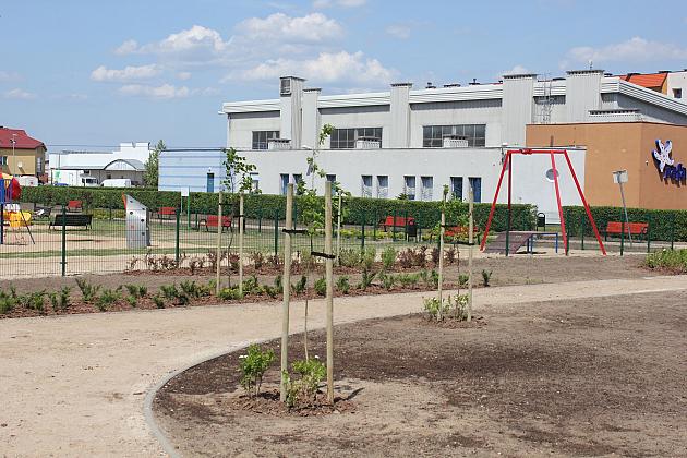 Zielono na Osiedlu Sportowa