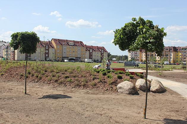 Zielono na Osiedlu Sportowa