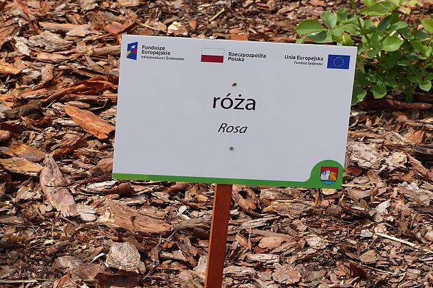 Zielone Osiedle Sportowa