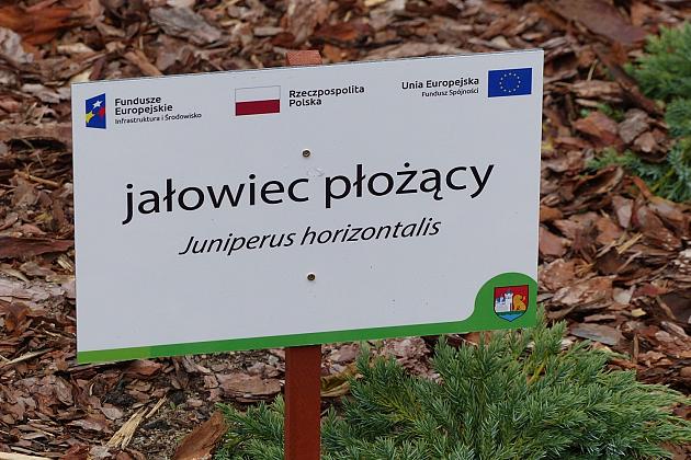 Zielone Osiedle Sportowa