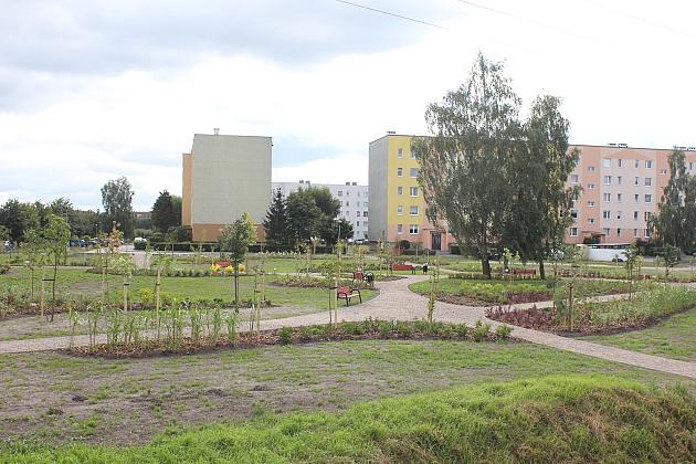 Zielona oaza przy Czołgistów