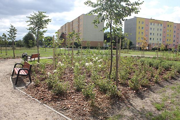 Zielona oaza przy Czołgistów