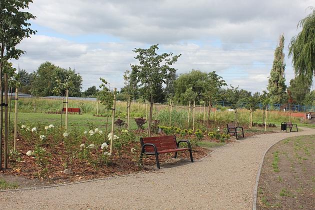 Zielona oaza przy Czołgistów