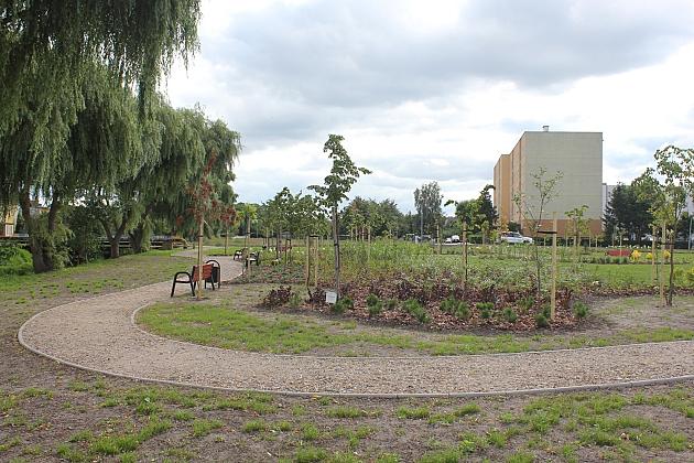 Zielona oaza przy Czołgistów