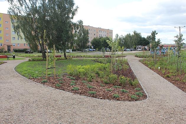 Zielona oaza przy Czołgistów