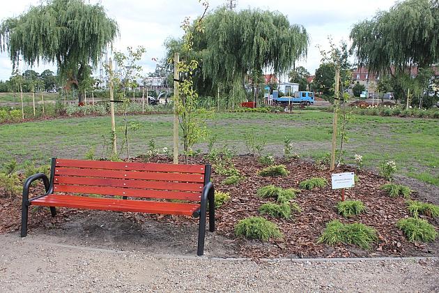 Zielona oaza przy Czołgistów