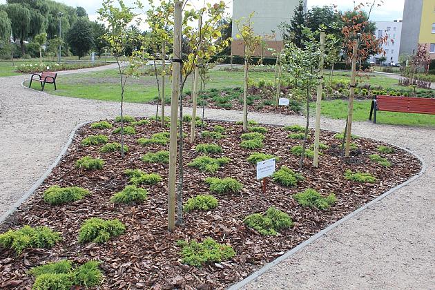 Zielona oaza przy Czołgistów