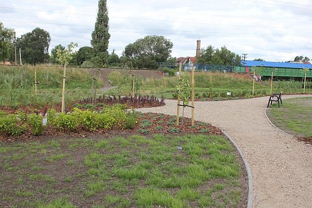 Zielona oaza przy Czołgistów