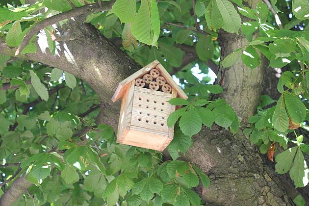 Rewitalizacyjna zmiana na podwórku przy Malczewskiego