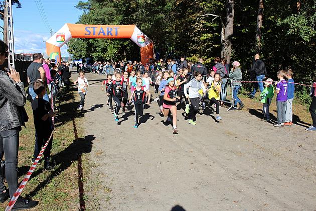 Rozpoczynamy nową edycję Indywidualnych Biegów Przełajowych o Puchar Grand-Prix Lęborka sezonu 2019/2020