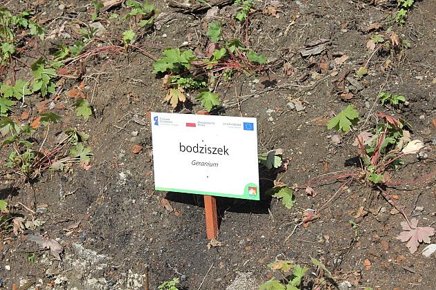 „Morskie Oko” w zielonej odsłonie