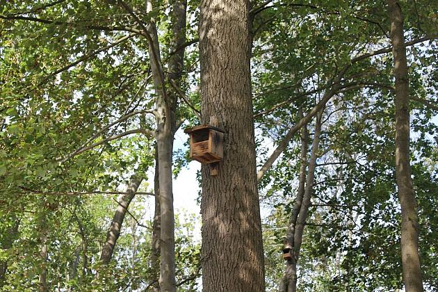 „Morskie Oko” w zielonej odsłonie