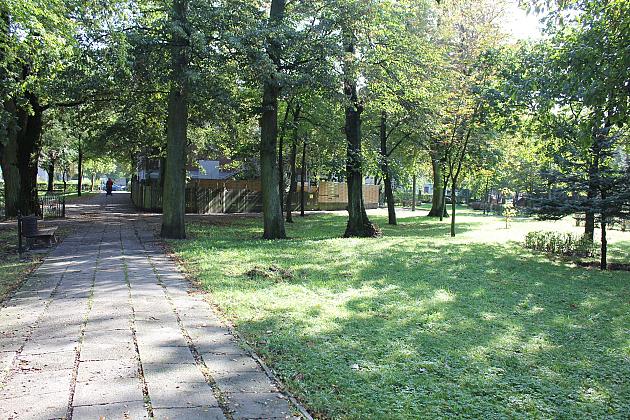 Park Michalskiego – ruszył II etap „Zielonej Rewolucji”