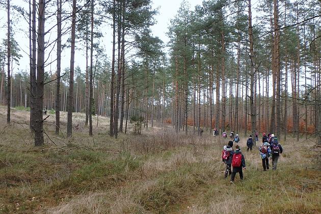 Rajd „Pocztylion” – wędrowali pieszo i na rowerach