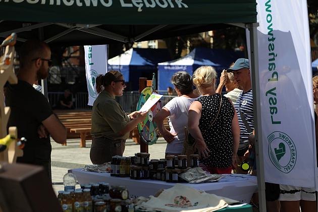 Jarmark św. Jakuba AD 2024