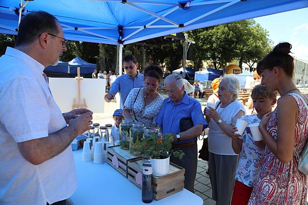 Jarmark św. Jakuba AD 2024