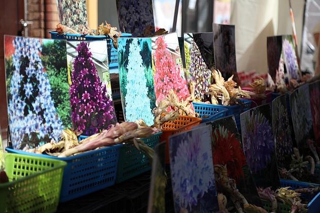 Jarmark św. Jakuba AD 2024