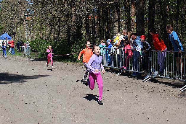 Biegi Przełajowe o Puchar Konstytucji 3 Maja zwieńczyły sezon Grand-Prix Lęborka