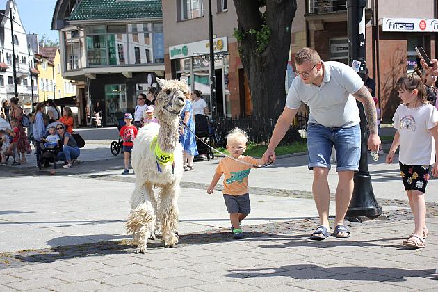 Letnie czwartki z książką i… niespodzianką!