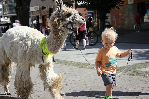 Letnie czwartki z książką i… niespodzianką!