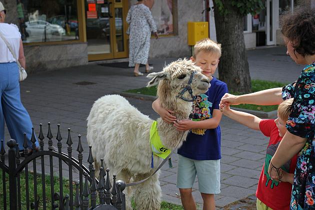 Letnie czwartki z książką i… niespodzianką!
