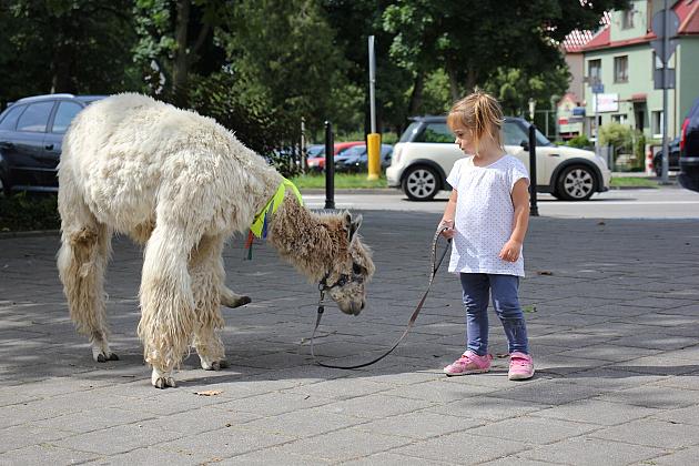 Letnie czwartki z książką i… niespodzianką!