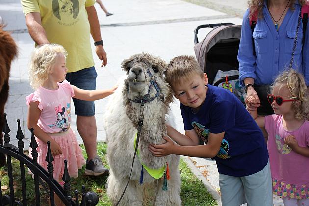 Letnie czwartki z książką i… niespodzianką!