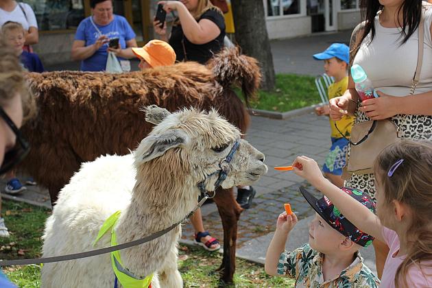 Letnie czwartki z książką i… niespodzianką!