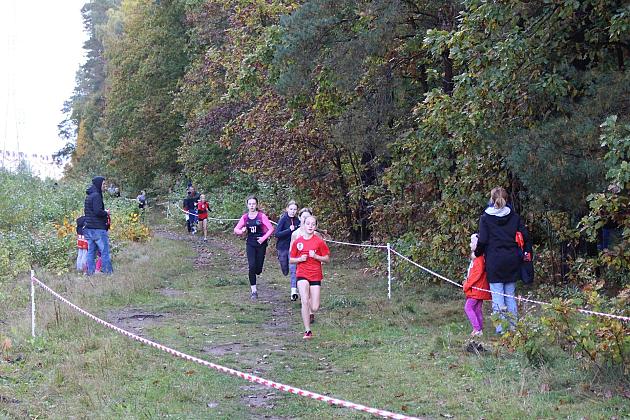 Drugi bieg Grand-Prix za nami