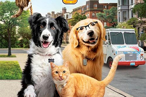 Kino „Fregata” zaprasza na seanse filmowe już od 21 maja!