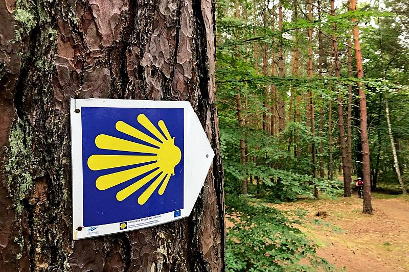 Camino od Jakuba do Jakuba: V etapowa pielgrzymka Pomorską Drogą Św. Jakuba (Kartuzy-Sianowo)