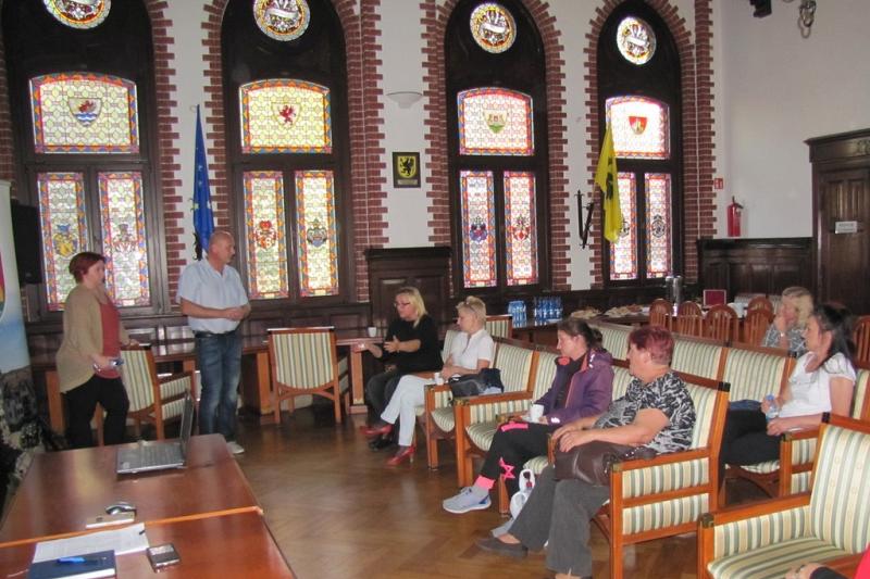 W ratuszu o kotach wolno żyjących